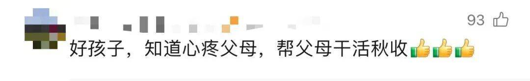 皇冠信用網会员_大学生8天假掰了7天半玉米：自己多弯一次腰皇冠信用網会员，父母就少吃一点苦