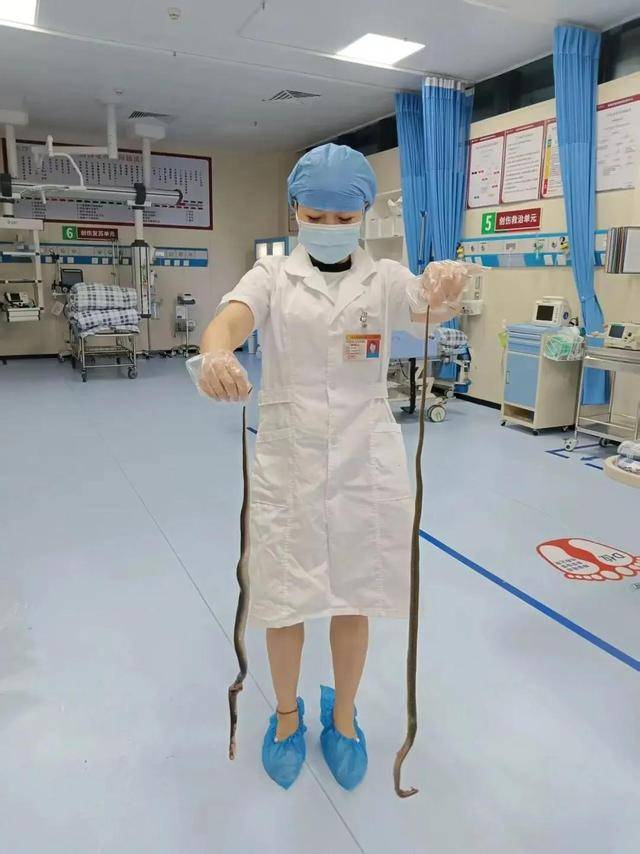 皇冠信用網登123出租_广东62岁阿叔网鱼网到2条眼镜蛇皇冠信用網登123出租，被咬伤后当场打死，并打包提进医院