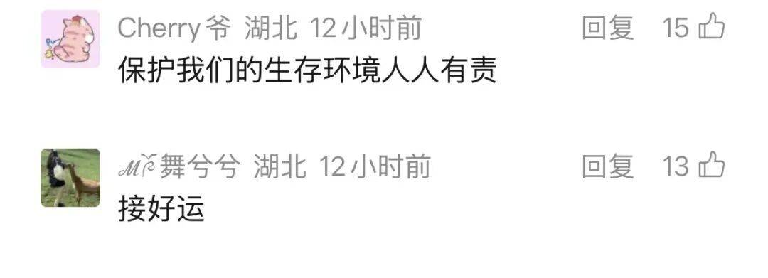 皇冠世界杯足球_武汉长江大桥下出现惊喜一幕皇冠世界杯足球，“一群江豚，大约持续10分钟”，海事人员：首次亲眼目睹